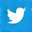 Twitter icon